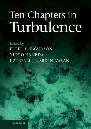 Ten Chapters in Turbulence de Peter A. Davidson