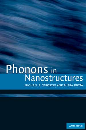 Phonons in Nanostructures de Michael A. Stroscio