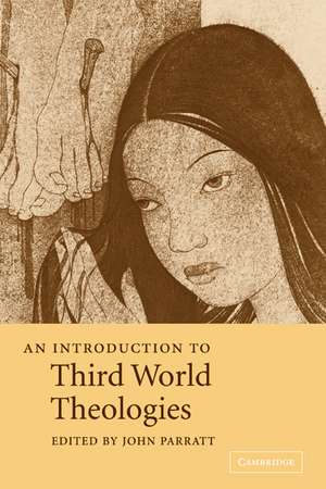 An Introduction to Third World Theologies de John Parratt