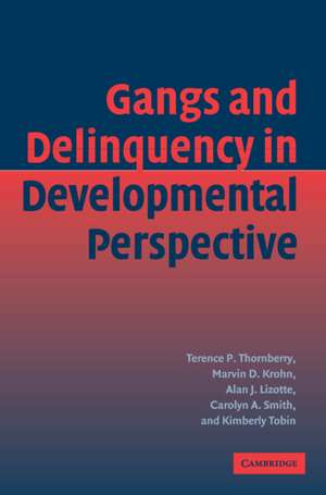 Gangs and Delinquency in Developmental Perspective de Terence P. Thornberry