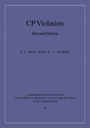 CP Violation de I. I. Bigi