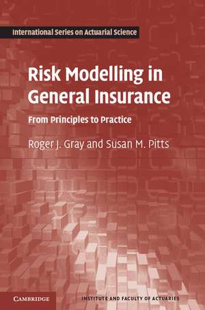 Risk Modelling in General Insurance: From Principles to Practice de Roger J. Gray