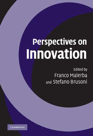 Perspectives on Innovation de Franco Malerba