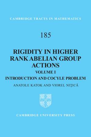 Rigidity in Higher Rank Abelian Group Actions: Volume 1, Introduction and Cocycle Problem de Anatole Katok