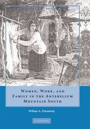 Women, Work and Family in the Antebellum Mountain South de Wilma A. Dunaway