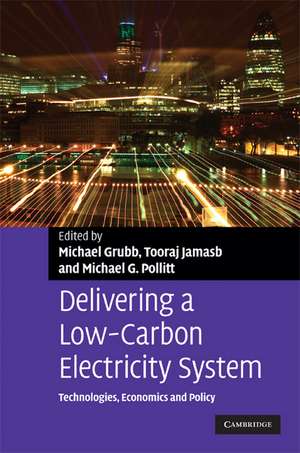 Delivering a Low Carbon Electricity System: Technologies, Economics and Policy de Michael Grubb