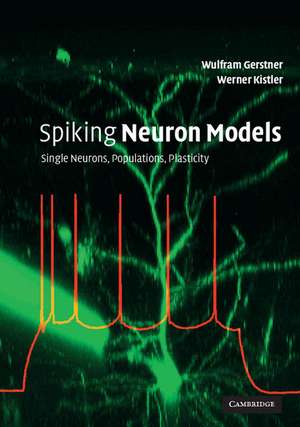 Spiking Neuron Models: Single Neurons, Populations, Plasticity de Wulfram Gerstner