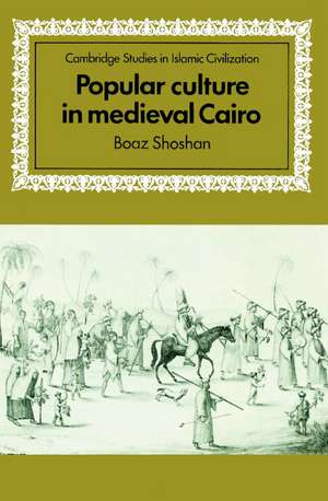 Popular Culture in Medieval Cairo de Boaz Shoshan