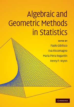 Algebraic and Geometric Methods in Statistics de Paolo Gibilisco