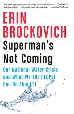 Superman's Not Coming de Erin Brockovich