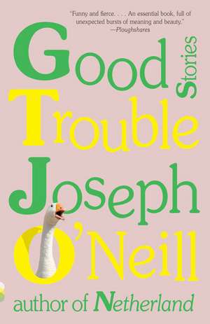 Good Trouble de Joseph O'Neill