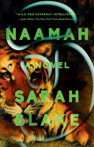 Naamah: A Novel de Sarah Blake