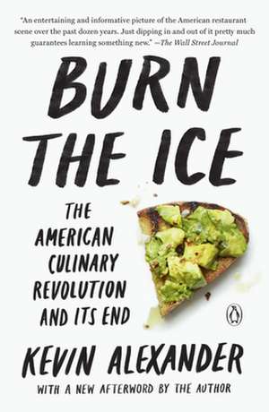 Burn the Ice de Kevin Alexander