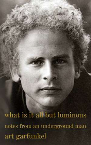 What Is It All But Luminous: Notes from an Underground Man de Art Garfunkel