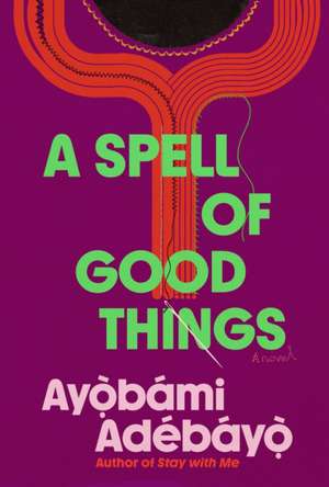 A Spell of Good Things de Ayobami Adebayo