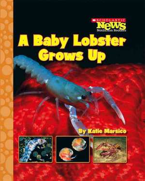 A Baby Lobster Grows Up de Katie Marsico