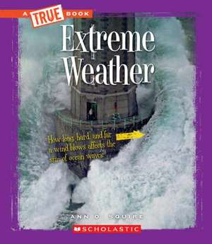 Extreme Weather de Ann Squire