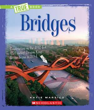 Bridges de Katie Marsico