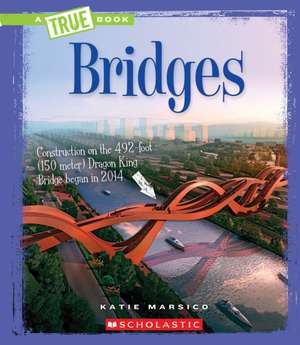 Bridges de Katie Marsico