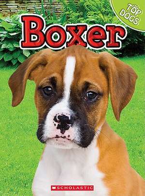 Boxer de Charles George