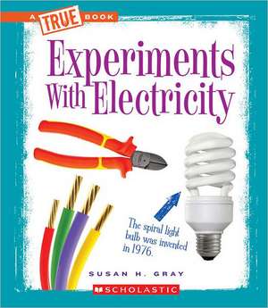 Experiments with Electricity de Susan Heinrichs Gray