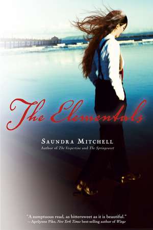 The Elementals de Saundra Mitchell