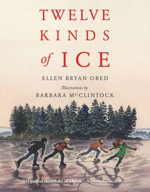 Twelve Kinds of Ice de Ellen Bryan Obed