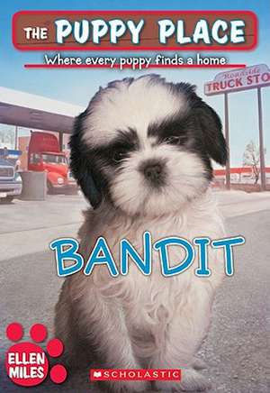 Bandit de Ellen Miles