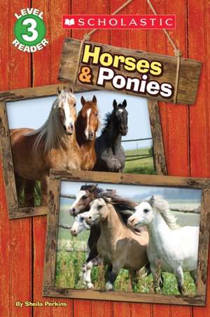 Horses and Ponies de Sheila Perkins