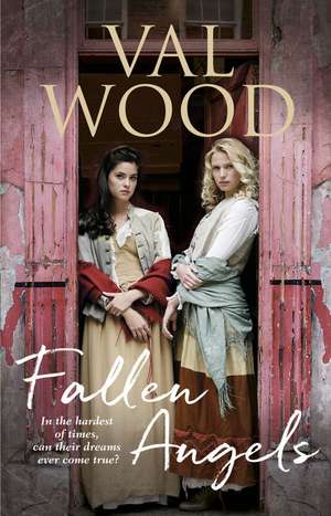 Fallen Angels de Val Wood