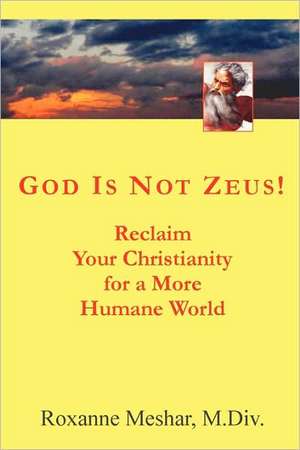 God Is Not Zeus! de Roxanne Meshar