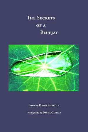 The Secrets of a Bluejay de David Kukkola