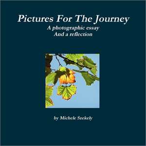 Pictures for the Journey de Michele Szekely