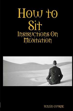 How to Sit, Instructions on Meditation de Tenzin Gyurme