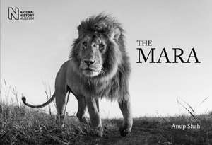 The Mara de Anup Shah