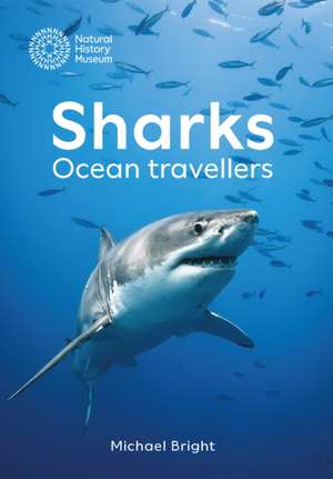 Bright, M: Sharks