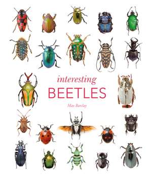 Interesting Beetles de Max Barclay