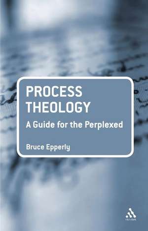 Process Theology: A Guide for the Perplexed de Dr Bruce G. Epperly