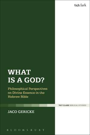 What is a God?: Philosophical Perspectives on Divine Essence in the Hebrew Bible de Dr Jaco Gericke