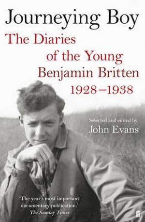 Journeying Boy de John Evans