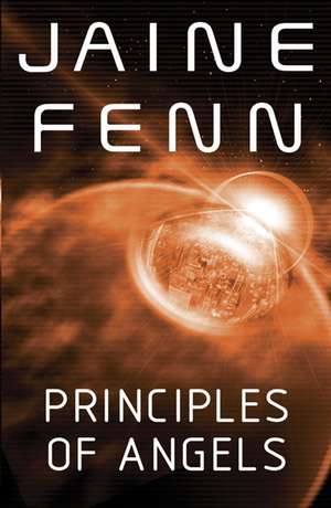 Principles of Angels de Jaine Fenn