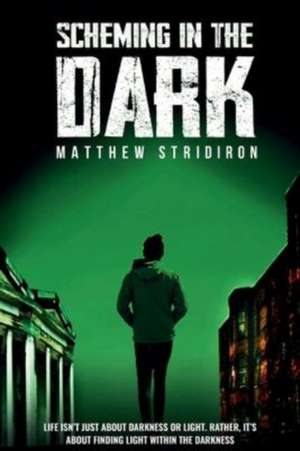 Scheming In the Dark de Matthew Arthur Stridiron