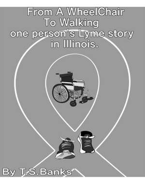 From a wheelchair to walking one person's Lyme story in Illinois. de T. S. Banks