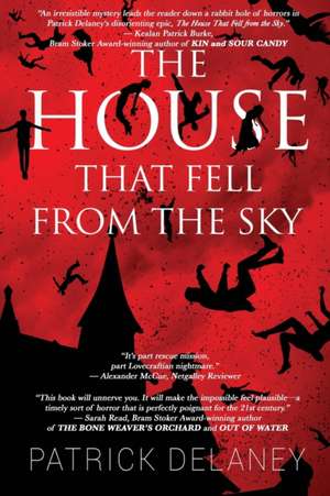 The House that fell from the Sky de Patrick Delaney