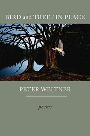 BIRD and TREE / IN PLACE de Peter Weltner