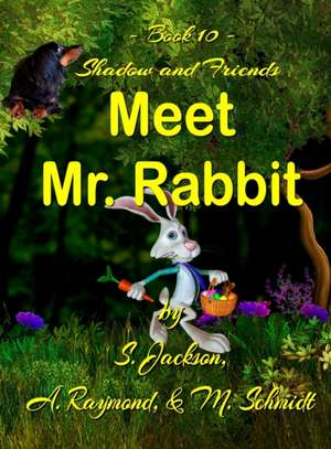 Shadow and Friends Meet Mr. Rabbit de Mary L Schmidt