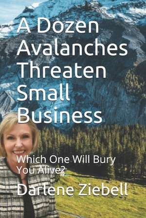 A Dozen Avalanches Threaten Small Business: Which One Will Bury You Alive? de Darlene Ziebell