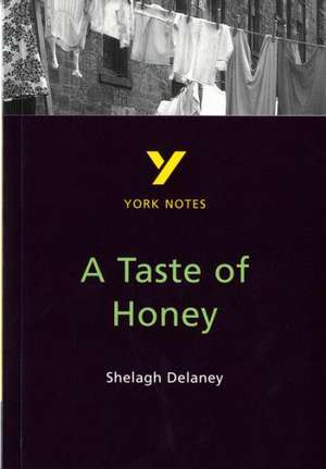 A Taste of Honey York Notes GCSE English Literature Study Guide - for 2025, 2026 exams de Bernadette Dyer