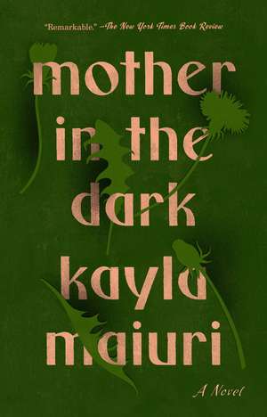 Mother In the Dark de Kayla Maiuri