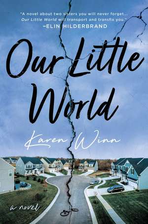 Our Little World: A Novel de Karen Winn